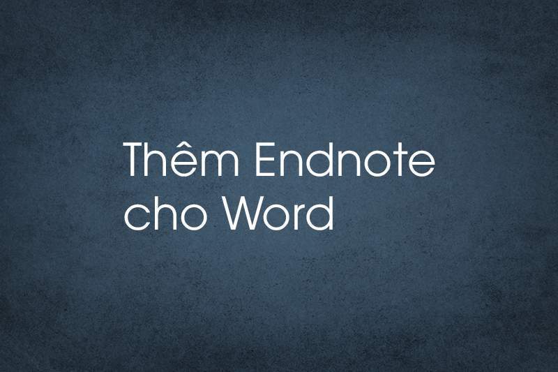 Thêm Endnote cho WORD