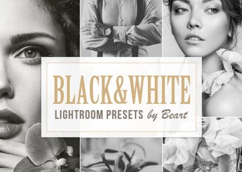 download 40 presets black white lightroom profile