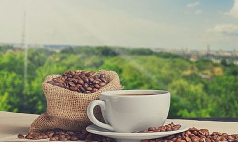 Loại cà phê nào ngon nhất? Cách lựa chọn cà phê bột sạch, ngon và hợp –  naturecoffee
