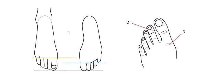 cách vẽ bàn chân 10