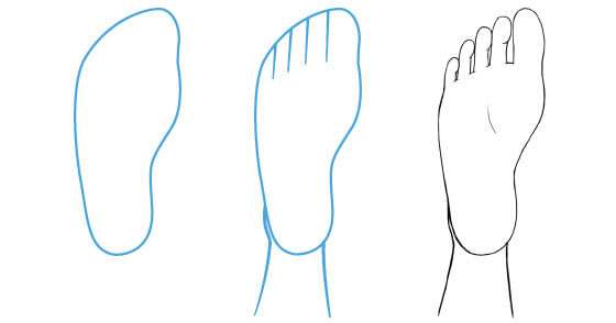 cách vẽ bàn chân 12