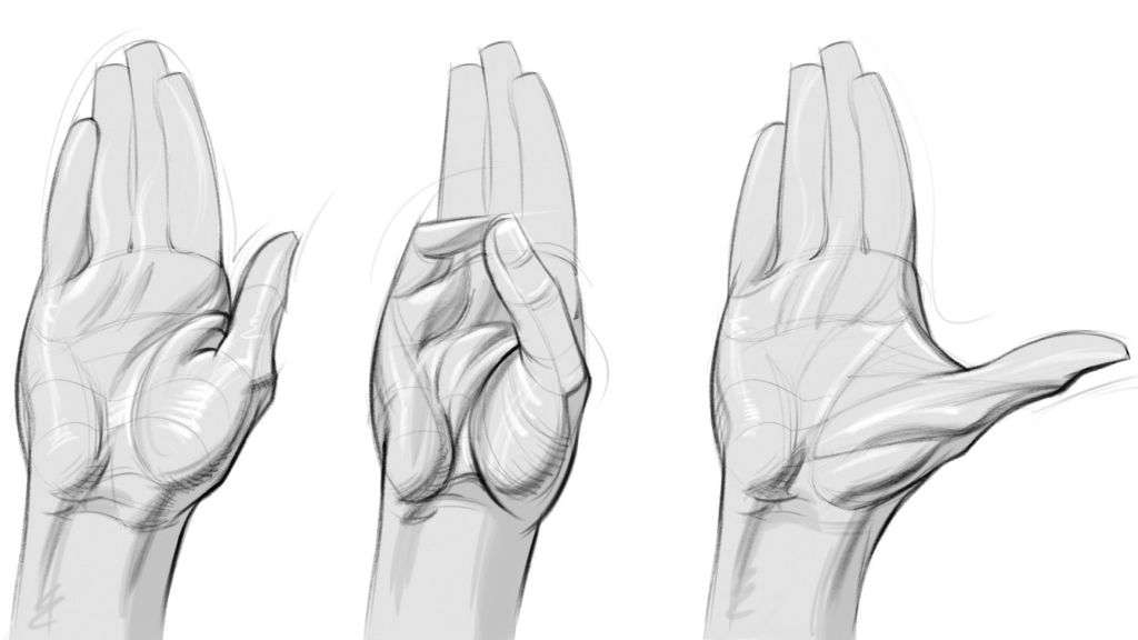 cách vẽ bàn tay 1