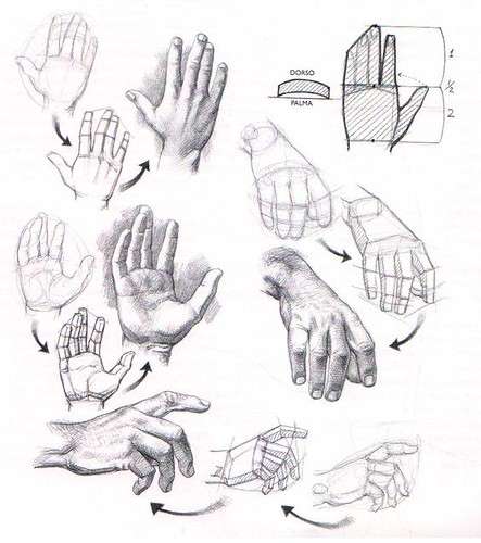 cách vẽ bàn tay 11