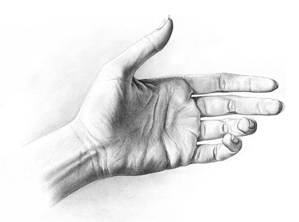 cách vẽ bàn tay 8