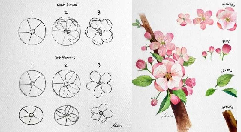 cách vẽ bông hoa 10