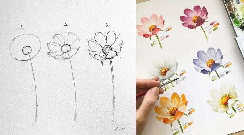 cách vẽ bông hoa 11
