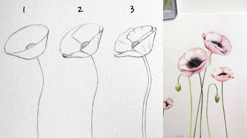 cách vẽ bông hoa 12