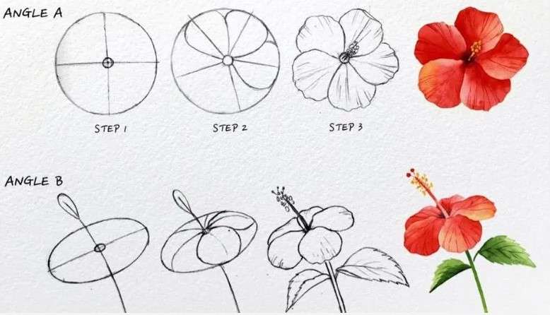 cách vẽ bông hoa 13