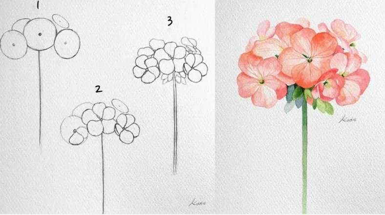cách vẽ bông hoa 14