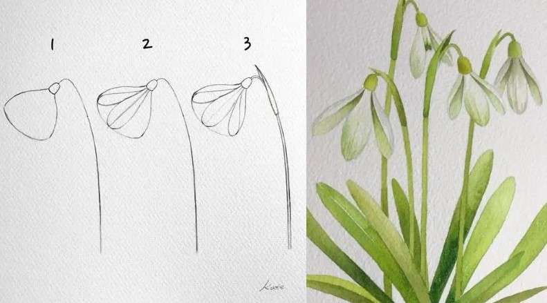 cách vẽ bông hoa 15