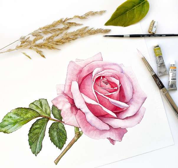 cách vẽ bông hoa 20