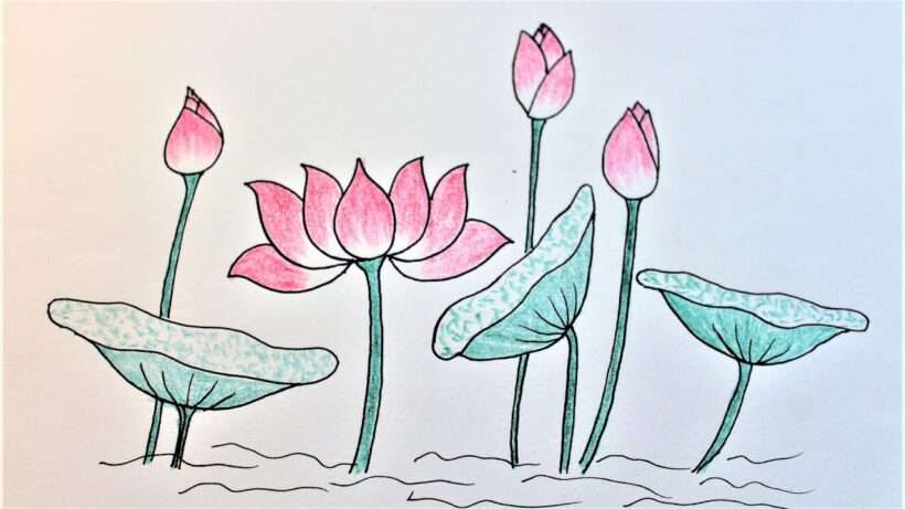 cách vẽ bông hoa 28