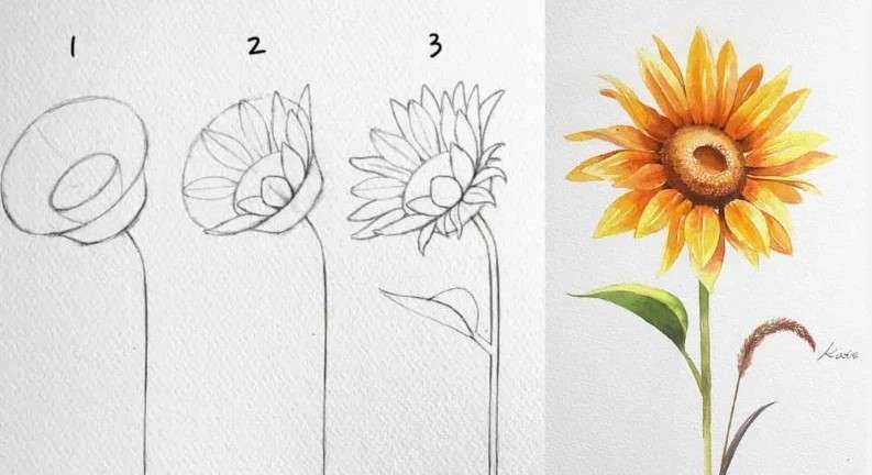 cách vẽ bông hoa 3