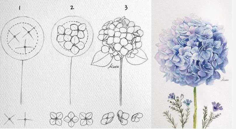 cách vẽ bông hoa 4