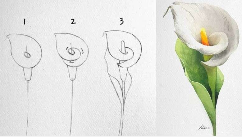 cách vẽ bông hoa 5