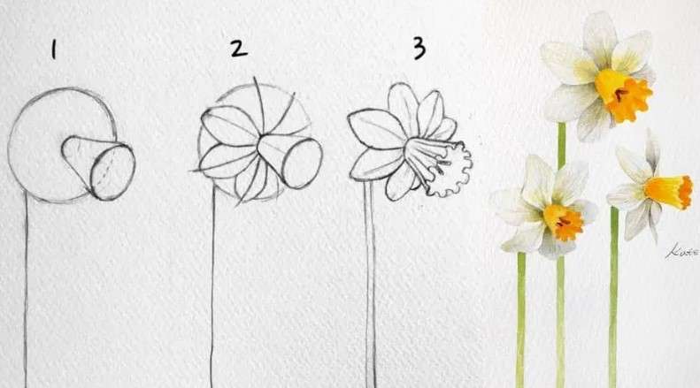 cách vẽ bông hoa 6
