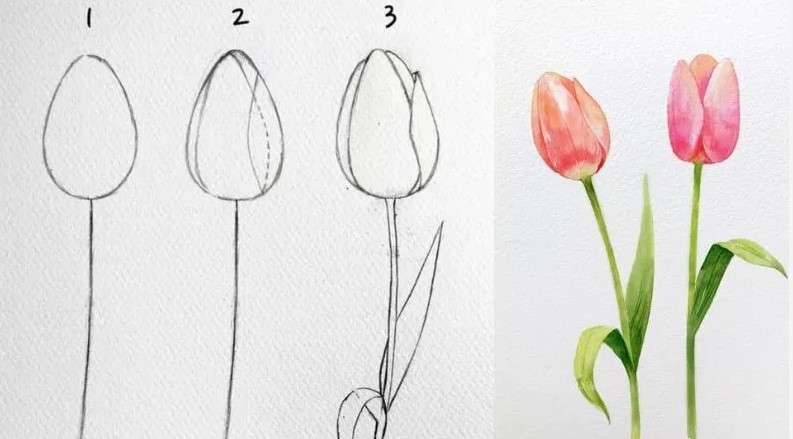 cách vẽ bông hoa 7