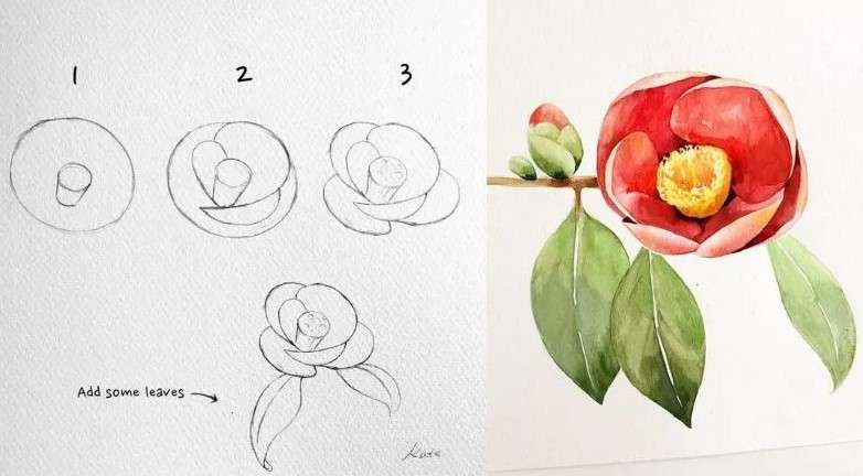 cách vẽ bông hoa 8