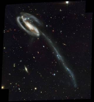 Kính viễn vọng không gian Hubble Thiên hà Nòng nọc