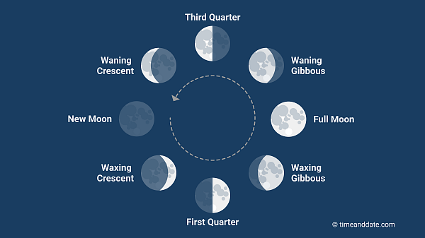 Hình minh họa tám giai đoạn của Mặt trăng với một mũi tên hiển thị thứ tự chúng xuất hiện, nhìn từ Trái đất.
