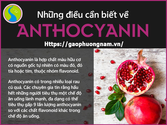 Anthocyanins thường có trong tất cả các mô của thực vật bậc cao, bao gồm cả lá, thân, rễ, hoa và quả; thường có màu đỏ, đỏ tía, xanh dương, đen và tím.