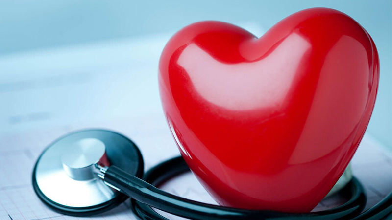 Cranberry giúp bảo vệ đường ruột và sức khỏe tim mạch