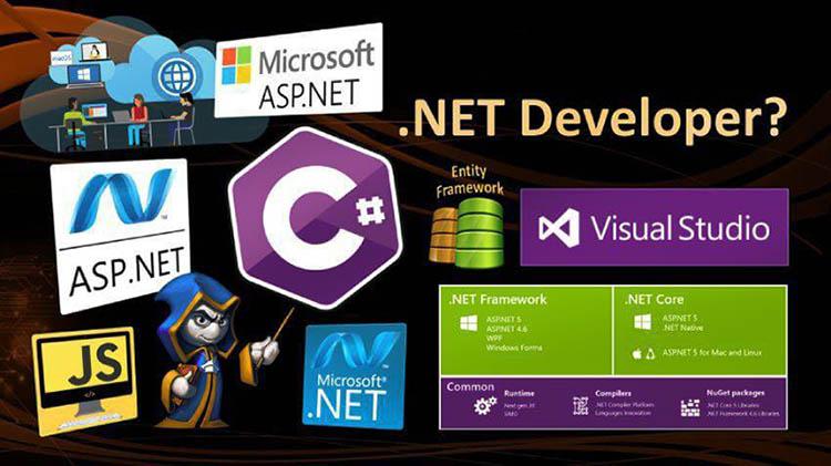 .NET được ứng dụng rộng rãi tại Windows