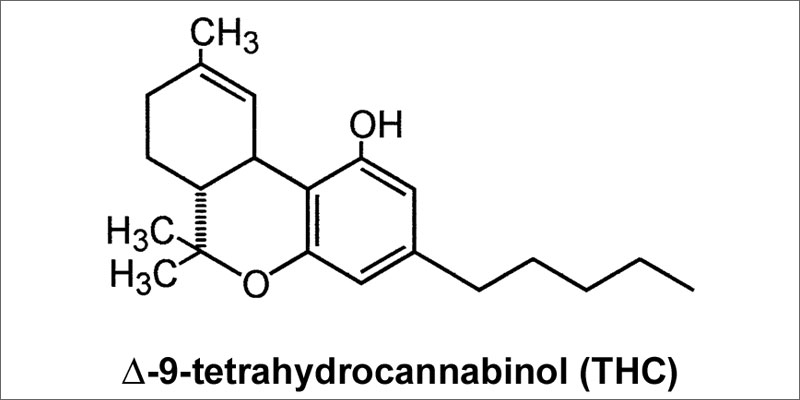 Cấu trúc hóa học của Tetrahydrocannabinol (THC) - Tạp chí Cần sa Việt Nam - 25giay.vn