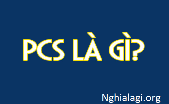 PCS là gì, là viết tắt của từ gì, nghĩa gì trong xuất nhập khẩu? - 25giay.vn