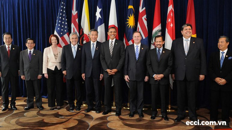 TPP là cách viết tắt của Hiệp định Đối tác xuyên Thái Bình Dương (Trans-Pacific Partnership Agreement)