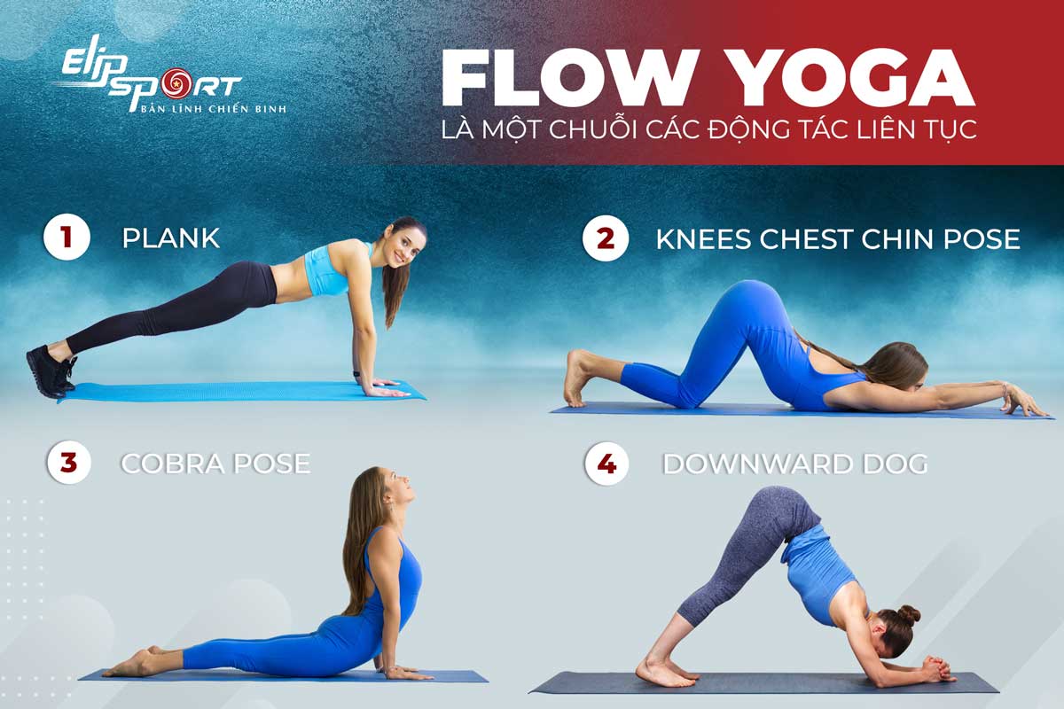 yoga flow là gì